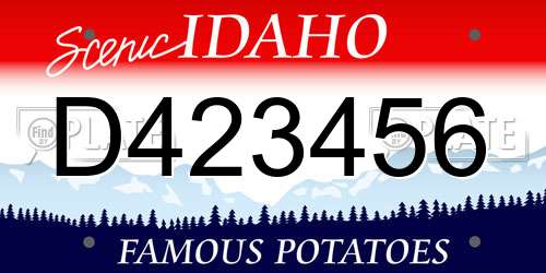D423456 Idaho License Plate