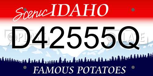 D42555Q Idaho License Plate