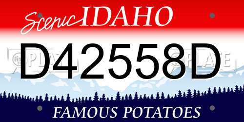 D42558D Idaho License Plate