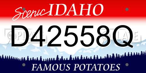 D42558Q Idaho License Plate