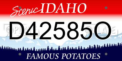 D42585O Idaho License Plate