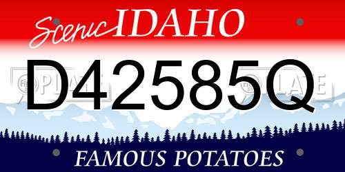 D42585Q Idaho License Plate