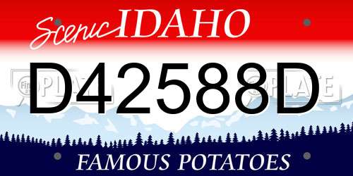 D42588D Idaho License Plate