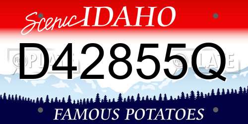 D42855Q Idaho License Plate