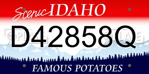 D42858Q Idaho License Plate