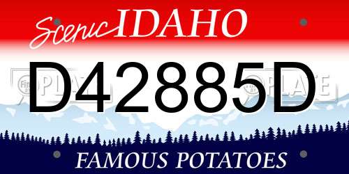 D42885D Idaho License Plate