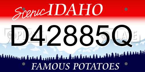 D42885Q Idaho License Plate