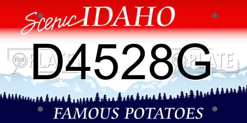D4528G Idaho License Plate