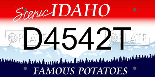 D4542T Idaho License Plate