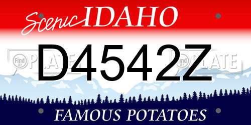 D4542Z Idaho License Plate