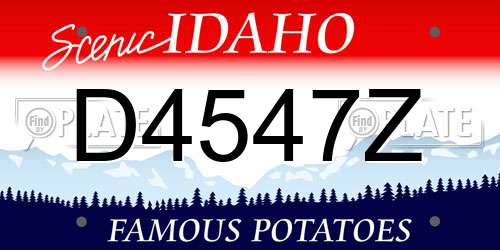 D4547Z Idaho License Plate