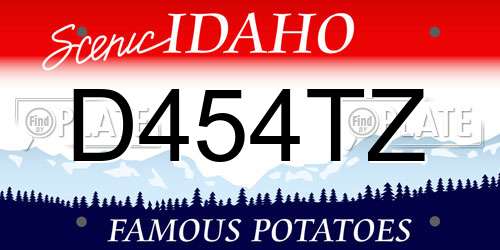 D454TZ Idaho License Plate
