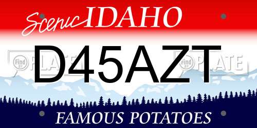 D45AZT Idaho License Plate