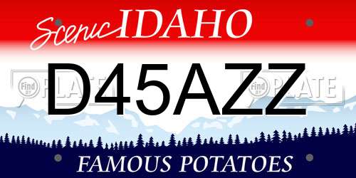 D45AZZ Idaho License Plate