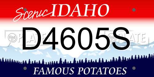 D4605S Idaho License Plate