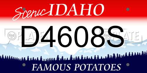 D4608S Idaho License Plate