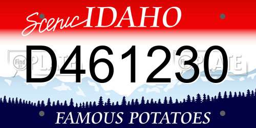 D461230 Idaho License Plate