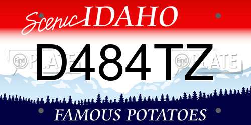 D484TZ Idaho License Plate