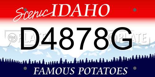 D4878G Idaho License Plate