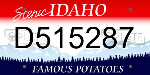 D515287 Idaho License Plate