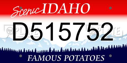 D515752 Idaho License Plate