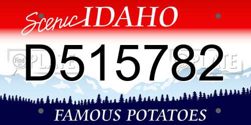 D515782 Idaho License Plate