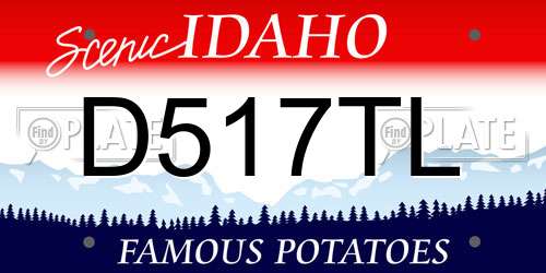 D517TL Idaho License Plate