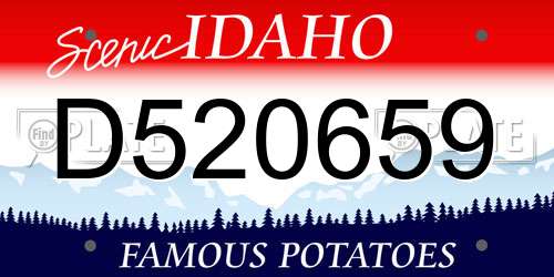 D520659 Idaho License Plate