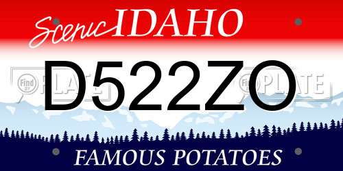 D522ZO Idaho License Plate