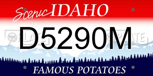 D5290M Idaho License Plate