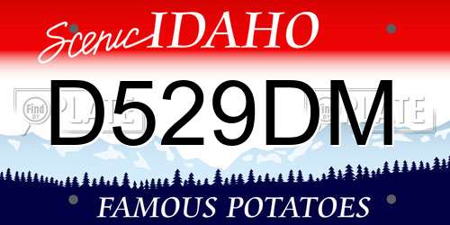 D529DM Idaho License Plate