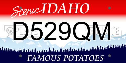 D529QM Idaho License Plate
