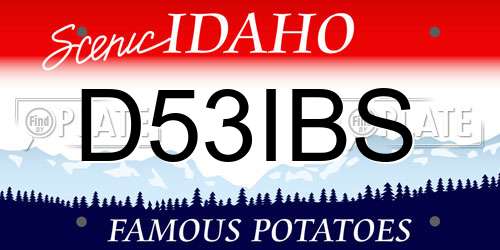 D53IBS Idaho License Plate