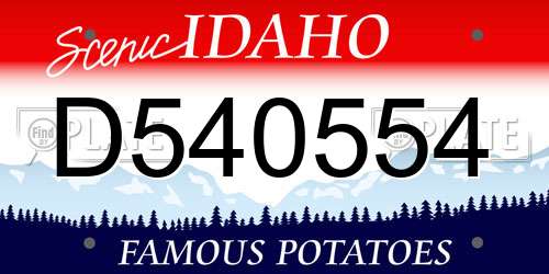 D540554 Idaho License Plate