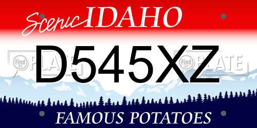D545XZ Idaho License Plate