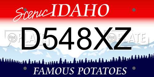 D548XZ Idaho License Plate