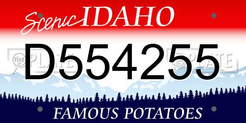 D554255 Idaho License Plate
