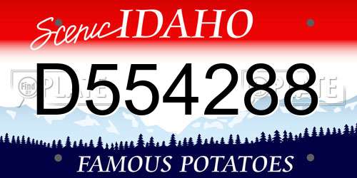 D554288 Idaho License Plate