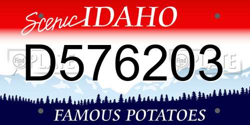 D576203 Idaho License Plate