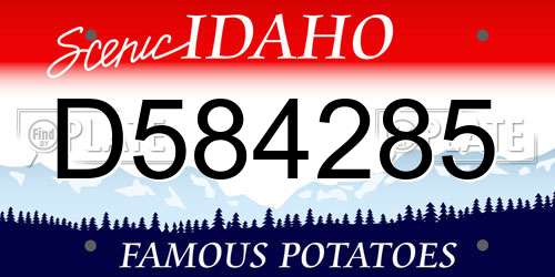 D584285 Idaho License Plate