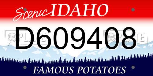 D609408 Idaho License Plate
