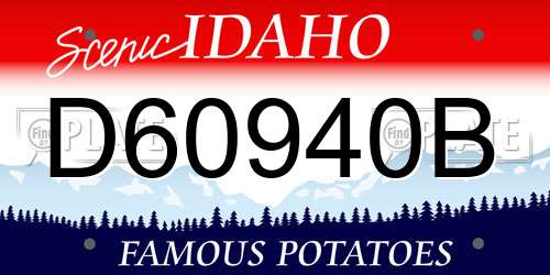 D60940B Idaho License Plate