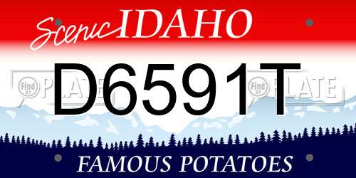 D6591T Idaho License Plate