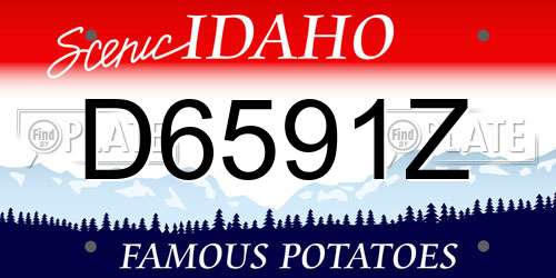 D6591Z Idaho License Plate