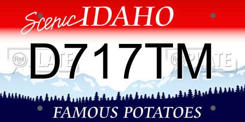 D717TM Idaho License Plate