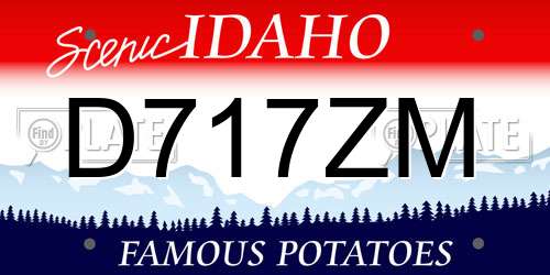 D717ZM Idaho License Plate