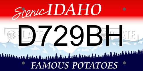 D729BH Idaho License Plate