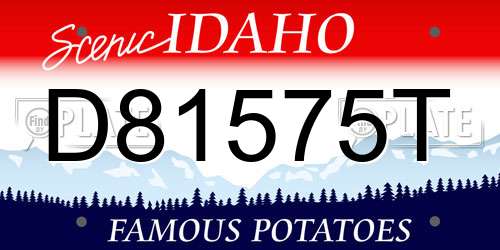D81575T Idaho License Plate