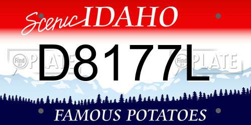 D8177L Idaho License Plate