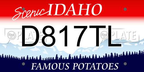 D817TL Idaho License Plate